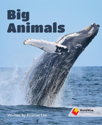 Cover image for Big Animals