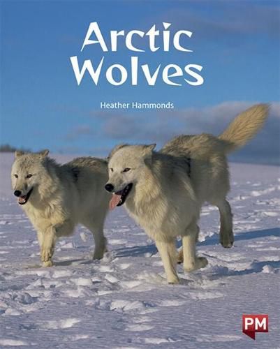 Arctic Wolves