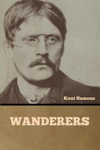 Cover image for Wanderers