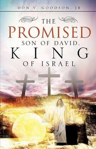 Cover image for The Promised Son of David, King of Israel