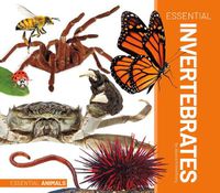 Cover image for Essential Invertebrates