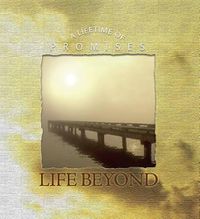 Cover image for Life Beyond