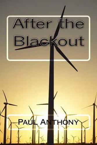 Cover image for After the Blackout