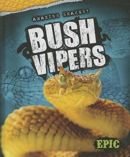 Cover image for Bush Vipers