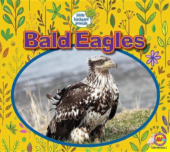 Bald Eagles