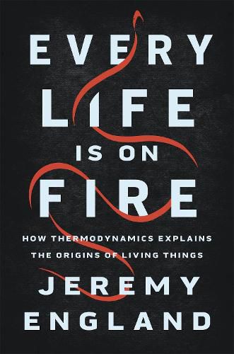 Cover image for Every Life Is On Fire: How Thermodynamics Explains the Origins of Living Things