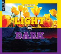 Cover image for Light and Dark