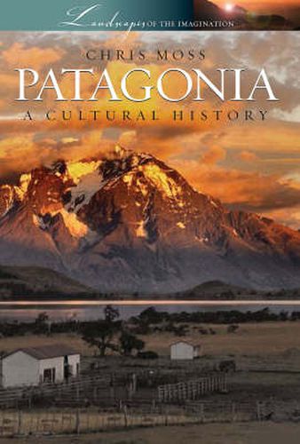 Cover image for Patagonia: A Cultural History