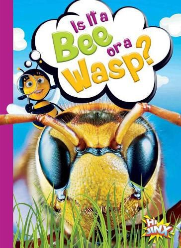 Cover image for Is It a Bee or a Wasp?
