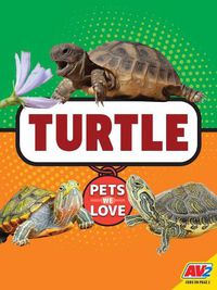 Cover image for Turtle