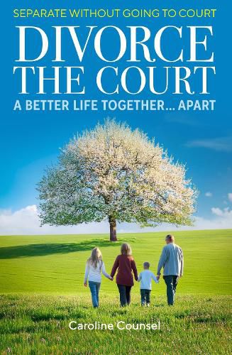 Cover image for Divorce the Court