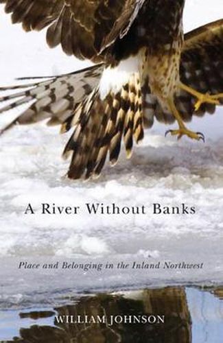 Cover image for A River Without Banks