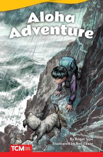 Cover image for Aloha, Adventure