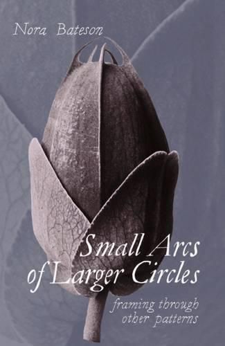 Cover image for Small Arcs of Larger Circles: Framing Through Other Patterns