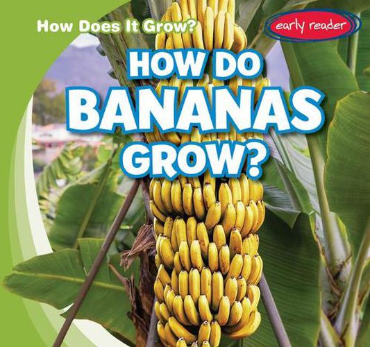 Cover image for How Do Bananas Grow?