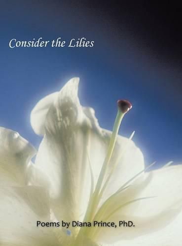 Cover image for Consider the Lilies