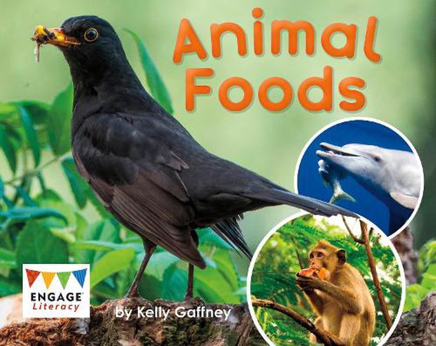 Cover image for Animal Foods