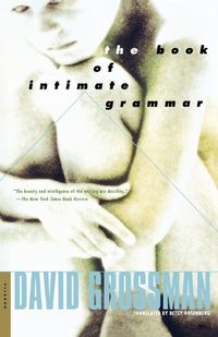 Cover image for The Book of Intimate Grammar: A Novel