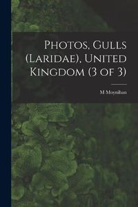 Cover image for Photos, Gulls (Laridae), United Kingdom (3 of 3)