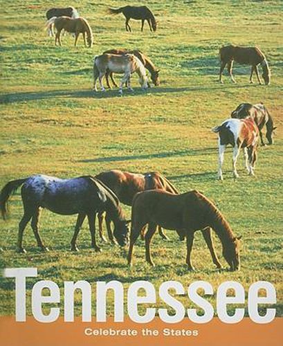 Cover image for Tennessee