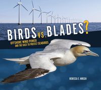 Cover image for Birds vs. Blades?: Offshore Wind Power and the Race to Protect Seabirds