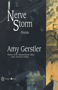 Cover image for Nerve Storm