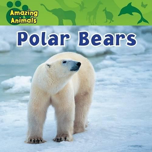 Cover image for Polar Bears