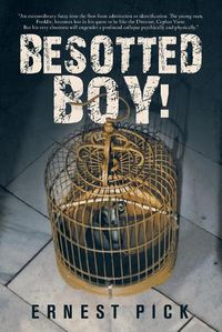 Cover image for Besotted Boy!