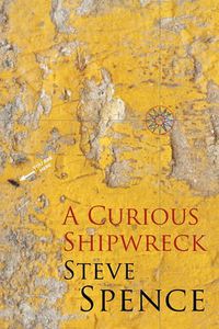 Cover image for A Curious Shipwreck