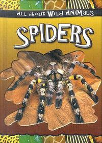 Cover image for Spiders