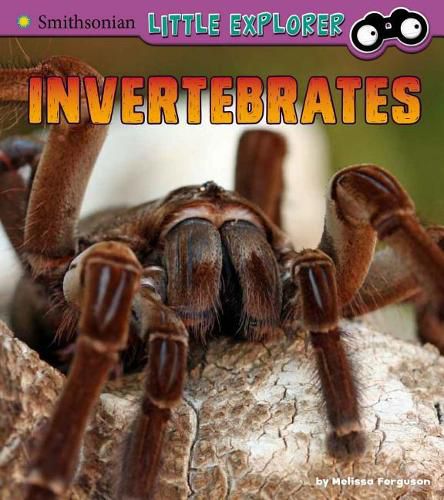 Invertebrates: A 4D Book