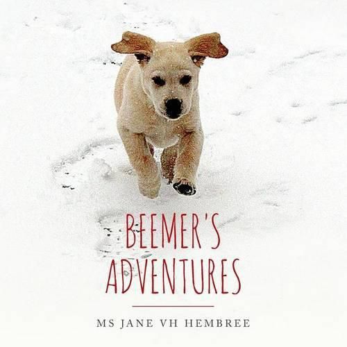 Cover image for Beemer's Adventures