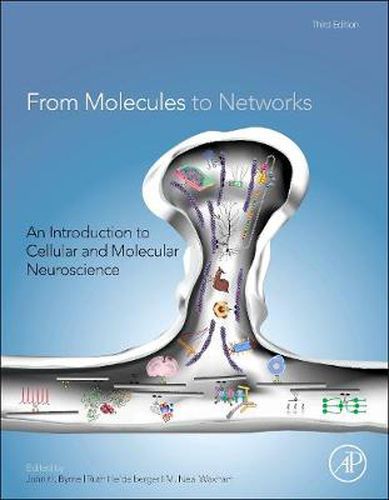 Cover image for From Molecules to Networks: An Introduction to Cellular and Molecular Neuroscience