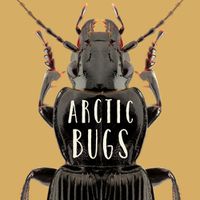 Cover image for Arctic Bugs: English Edition