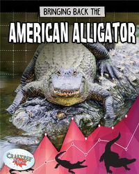 Cover image for American Alligator: Animals Back from the Brink