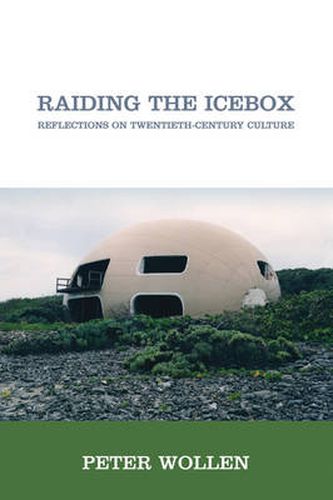 Cover image for Raiding the Icebox: Reflections on Twentieth-Century Culture