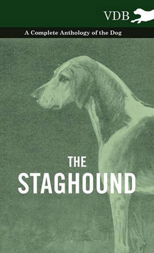 Cover image for The Staghound - A Complete Anthology of the Dog