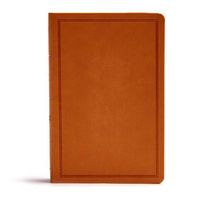 Cover image for CSB Deluxe Gift Bible, Tan LeatherTouch