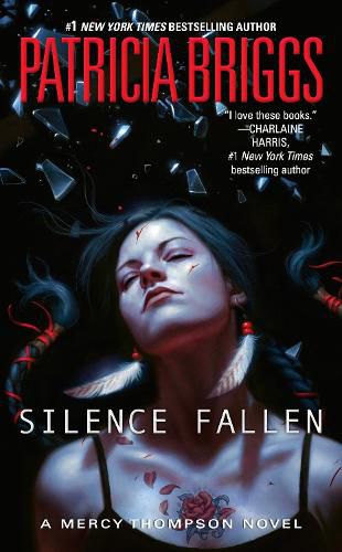 Cover image for Silence Fallen