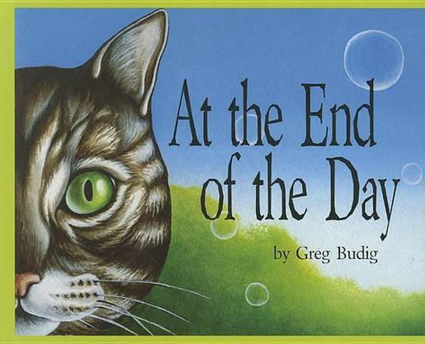 Cover image for At the End of the Day