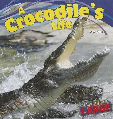 Cover image for A Crocodile's Life