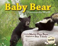 Cover image for Baby Bear Discovers the World