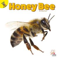 Cover image for Honey Bee