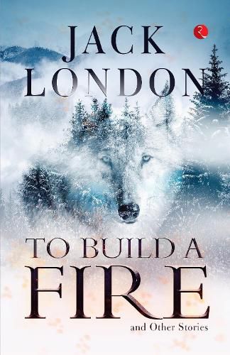 Cover image for TO BUILD A FIRE AND OTHER STORIES