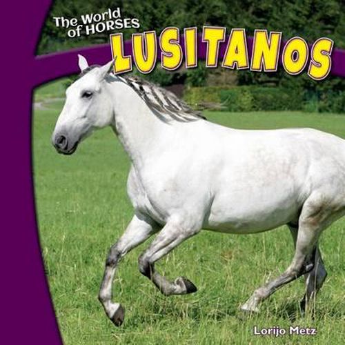 Cover image for Lusitanos