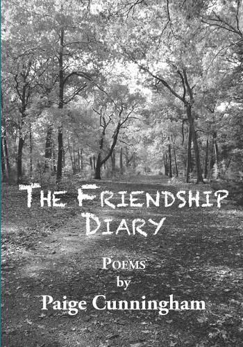 Cover image for The Friendship Diary