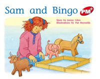 Cover image for Sam and Bingo