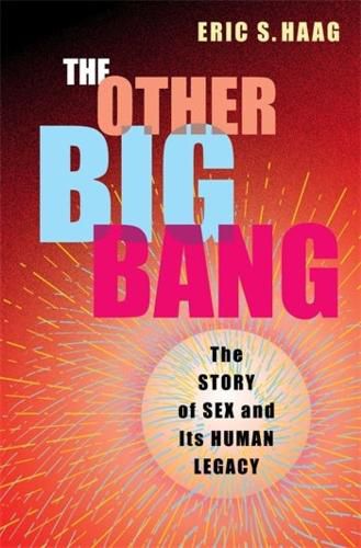 Cover image for The Other Big Bang