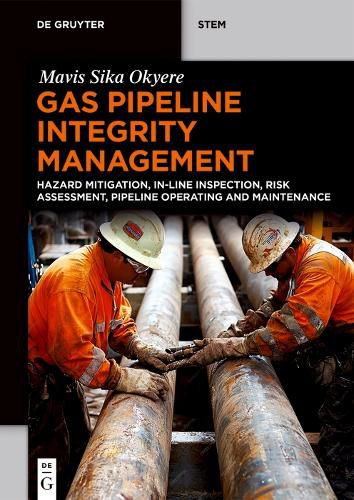 Cover image for Gas Pipeline Integrity Management