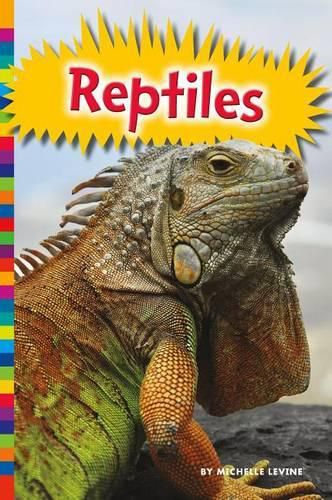 Cover image for Reptiles